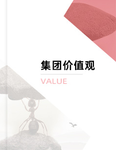 東方龍商務(wù)集團(tuán)價(jià)值觀