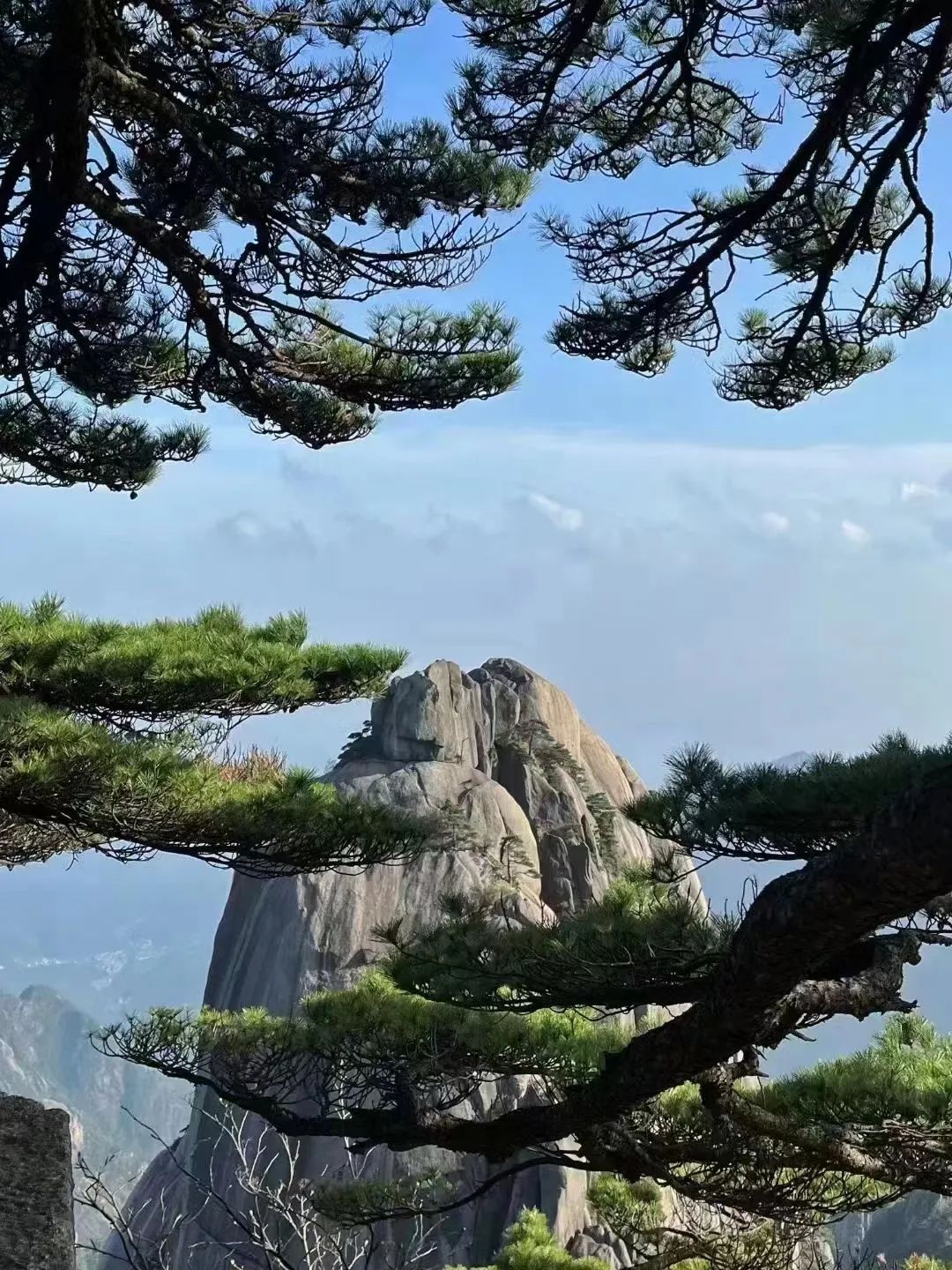 東方龍商務(wù)與春天有個(gè)約會(huì)！集團(tuán)100余人赴安徽黃山“團(tuán)建”，太嗨了！“奔跑二季度”——我們準(zhǔn)備好了！